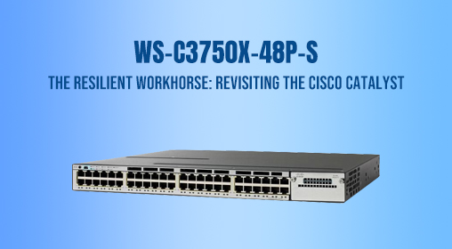 The Resilient Workhorse: Revisiting the Cisco Catalyst 3750X Switch