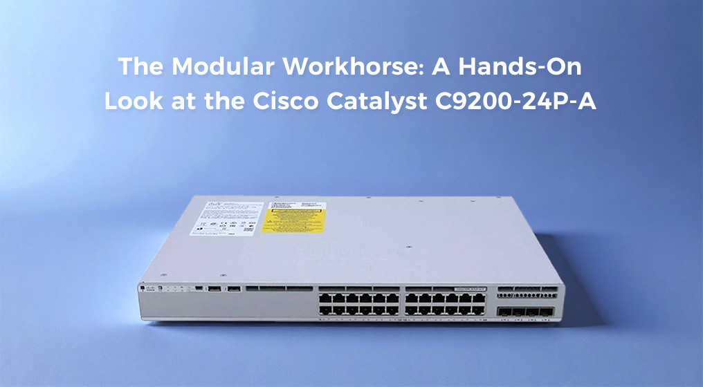 The Modular Workhorse: A Hands-On Look at the Cisco Catalyst C9200-24P-A